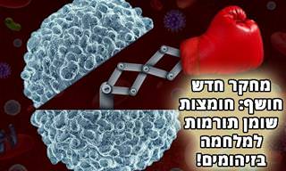 מחקר: הקשר שבין חומצות שומן לבין מערכת החיסון ומלחמתה בזיהומים ודלקות