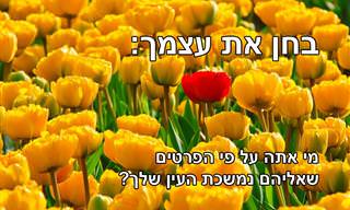 בחן את עצמך: מי אתה על פי הפרטים שאליהם נמשכת העין שלך?