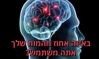מבחן אישיות: באיזה אחוז מהמוח שלך אתה משתמש?