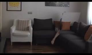 הילדים לא עוזבים אותך בשקט? הנה פתרון מצחיק ויצירתי!