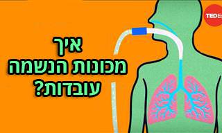 סרטון הסבר מרתק על איך פועלות מכונות הנשמה