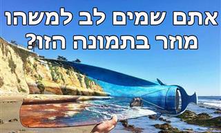 18 יצירות נהדרות שמשלבות זבל עם הטבע