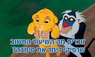 ציטוטים מעוררי השראה מסיפורי ילדים
