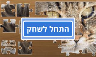 פאזלים נהדרים להרכבה לכל גיל