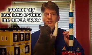 אוסף מצחיק של חתולים מפריעים לעבודה מהבית ולעוד כמה אירועים
