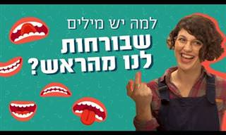 כאן מסבירים: 10 סרטונים שיגלו לכם את מסתורי החיים