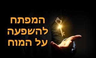 סודות ההשפעה של הסוגסטיות על המוח