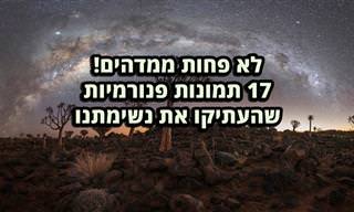 תמונות מתחרות הצילום הפנורמי של אפסון 2020