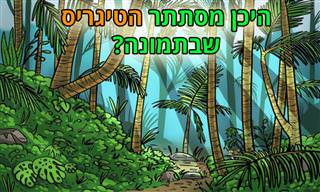 15 תמונות עם פרטים נסתרים שצריך לאתר