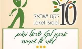 חלום של אדם אחד הופך למציאות: סיפורה של עמותת לקט ישראל