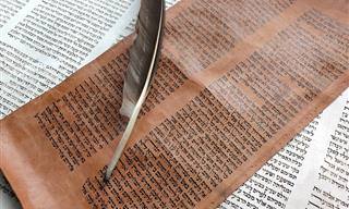 סיפוריהם של 5 ספרי תנ