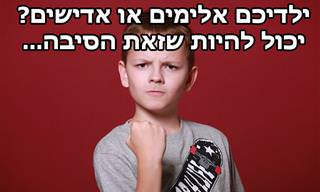 הילד תוקפני ומרביץ או חולמני ומעופף? אולי הוא סובל מקושי בוויסות החושי - מאת שושי טאו