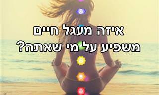 בחן את עצמך: איזה מעגל חיים משפיע על מי שאתה?