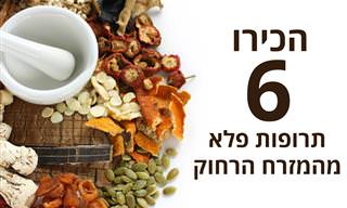 6 תרופות סבתא מהמזרח הרחוק