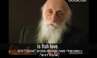 הרב ד
