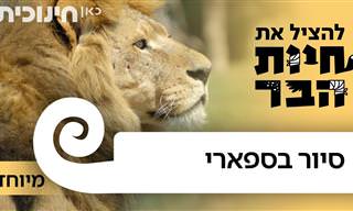 צאו לסיור מודרך בספארי ברמת גן והכירו את חלק מדייריו