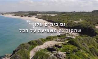 איך נראה הטבע הישראלי בזמן תקופת הקורונה?