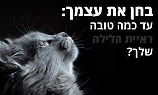 בחן את עצמך: האם ראייתך חדה מספיק בתנאי חשכה?