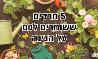 5 חרקים שמדבירים לכם את הגינה ושלא כדאי לכם להרחיק ממנה