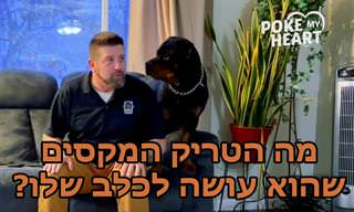 הבחור הזה רצה לגלות מה קורה כשהוא קורא לכלב שלו ואז מתעלם ממנו...
