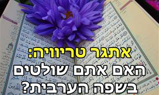 בחן את עצמך: האם יש לך שליטה מושלמת בשפה הערבית?