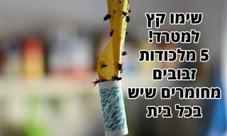 5 רעיונות למלכודות זבובים שאפשר להכין מדברים שיש לכם במטבח