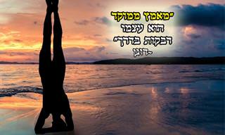 14 ציטוטים של מורים רוחניים בודהיסטיים