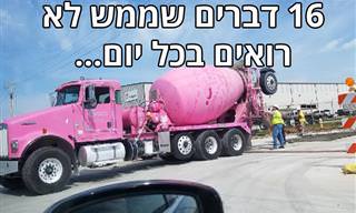 16 תמונות יפות ומפתיעות שיעזרו לכם להילחם בשעמום