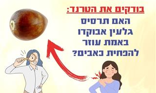 תרסיס גלעין אבוקדו נגד כאבים – איך מכינים והאם זה באמת עובד?