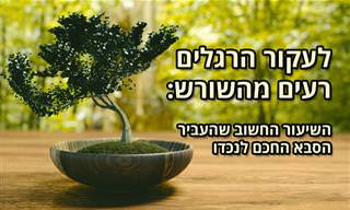 סרטון העצמה: לעקור הרגלים רעים מהשורש