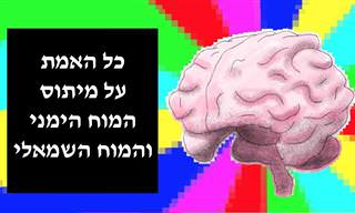 חשבתם שלמוח שלכם יש צד יותר דומיננטי? מתברר שאתם טועים