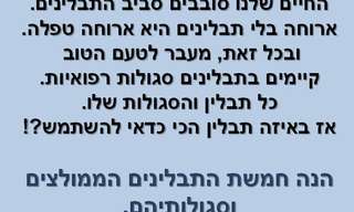 חמישה תבלינים לחיים טובים יותר