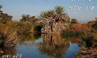 שמורת עין אפק - תמונות מדהימות!