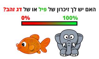 בחן את עצמך: האם יש לך זיכרון של דג זהב או של פיל?