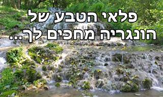 בעזרת המפה הזאת תגלו את פלאי הטבע של הונגריה